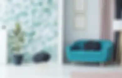 Mana yang Lebih Untung? Ini Pertimbangan untuk Pilih Cat Dinding atau  Wallpaper