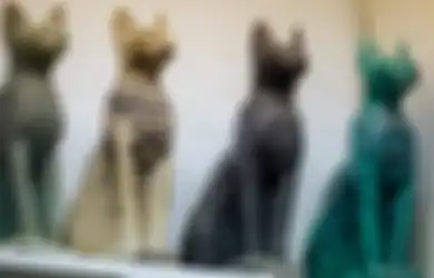 Tak Melulu Dipuja-puja, Ternyata Ada Alasan Biadab dan Kejam Mengapa Orang Mesir Kuno Terobsesi pada Kucing, Penelitian Ini Buktinya