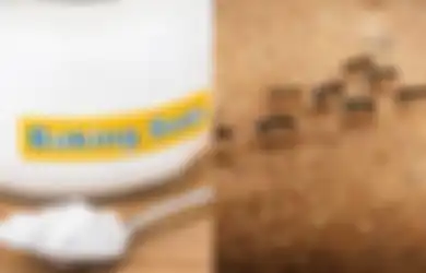 Pantes Semut Tak Ada yang Berbaris, Rupanya Cuma Gunakan Baking Soda, Begini Cara Pakainya!