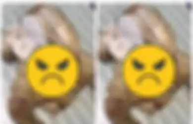 Buatnya Bergidik Ngeri, Pria Ini Syok Temukan Benda Menjijikan Ada di Dalam Perut Ayam yang Baru Dibelinya, Faktanya Mengejutkan