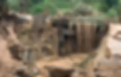 Garut Banjir Bandang, Warga yang Sembarangan Garap Kawasan Hutan Lindung Jadi Lahan Pertanian Terancam Dipolisikan