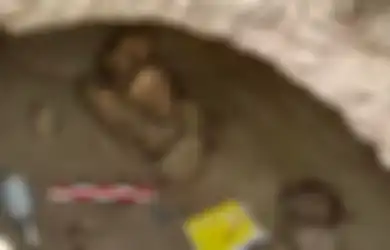 Berumur 800 Tahun, Mumi Ini Ditemukan oleh Para Arkeolog di Peru dalam Sebuah Makam Berbentuk Oval dalam Keadaan Terikat Anggota Tubuhnya dengan Tali, Diduga Disembunyikan dari Kolonial Eropa