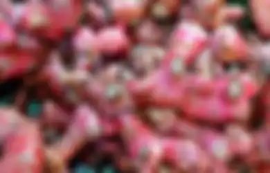 Enggak Perlu Konsumsi Obat Terus-menerus, Jahe Merah Ampuh Atasi Kolesterol Tinggi Tanpa Efek Samping