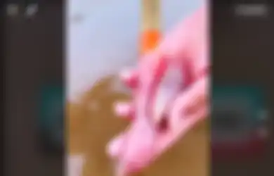 Viral Video Hewan yang Bentuknya Mirip Jari Tangan, Ternyata Ini Faktanya
