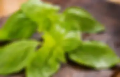 Enggak Nyangka! Ini 5 Keuntungan Daun Kemangi Buat Kecantikan Kulit!