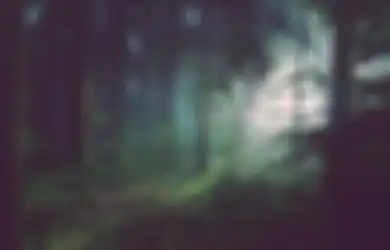 Merinding! Ngaku Lihat Jurang Hingga Bantir Setir ke Jalan Mulus Penuh Lampu, Pria Ini Tak Sadar 3 Jam Tersesat di Tengah Hutan dan Terabas Jalan Semak-semak Penuh Bebatuan