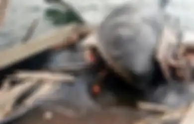 Muntahkan Tangan Manusia Saat Tertangkap, Kisah Hiu  yang Menelan Tangan Manusia Ini Benar-Benar Bikin Merinding, Padahal Kasusnya Telah Berlalu 86 Tahun