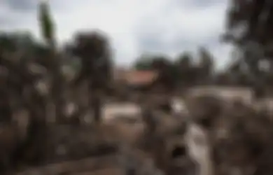 Keruk Abu Vulkanik Gunung Semeru yang Pendam Rumahnya, Pria Ini Hanya Sanggup Selamatkan Uang Rp 50 Juta, Mobil Mitsubishi Xpander Miliknya Bernasib Seperti Ini