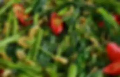 Kerap Terhidang di Meja Makan, Sayur Sejuta Umat Ini Ternyata Pantang Dimakan oleh Orang dengan Kondisi Ini, Salah-salah Picu Hal yang Mengerikan