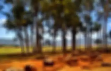 Pantas Saja Penuh Misteri dan Dikeramatkan, Inilah Kukaniloko, Tempat Melahirkan bagi Wanita dari Garis Keturunan Keluarga Kerajaan Hawaii yang Disaksikan oleh Banyak Kepala Suku