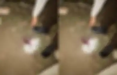 Lihat Darah Segar Bercecer, Wanita Ini Dengar Suara Aneh Dari Dalam Tanah hingga Syok Usai Membongkarnya, Apa yang Dilihatnya Sukses Buat Merinding