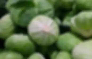 Dibalik Harganya yang Murah, Siapa Sangka Kalau Sayur Populer Ini Ternyata Ampuh Cegah Penyakit Kronis, Mulai dari Diabetes sampai Kanker