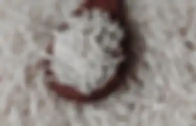 Bisa Picu Kanker, Mulai Sekarang Lakukan Hal Ini Saat Masak Nasi Agar Zat Berbahaya yang Ada Pada Beras Ini Hilang, Simak Penjelasannya