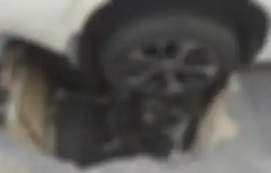 Foto Mobil Isyana Bagoes Oka Terperosok Sumur Resapan Viral, Lurah Lebak Bulus Ungkap Fakta Mengejutkan