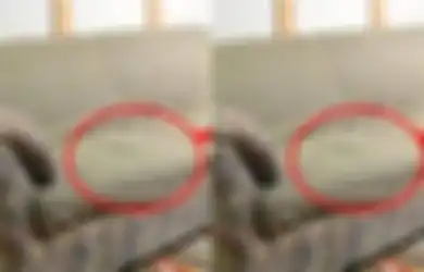 Bongkar Sofa Baru, Pria Ini Syok Bukan Main Usai Lihat Sesuatu yang Tersembunyi di Dalamnya, Faktanya Sukses Bikin Keluarga Merinding
