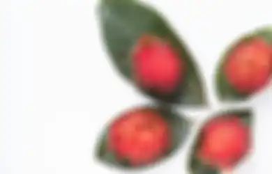 Nyesel Baru Tahu Sekarang, Daun Buah Ini Ternyata Ampuh Jadi Obat Kuat Alami loh, Begini Cara Buatnya