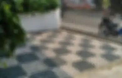 Paving Berongga Inovatif Ramah Lingkungan untuk Carport, Green Roof, dan Taman Vertikal