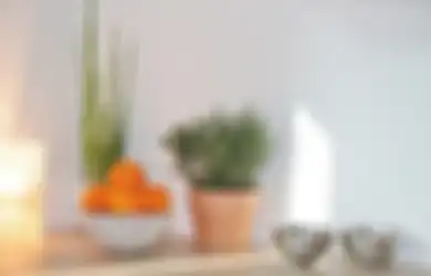 Kondisi Rumah Bisa Pengaruhi Kesehatan Penghuni, Ini Tanaman yang Cocok Diletakkan di Dalam Rumah, Meningkatkan Kualitas Hunian