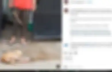 Dipukul Pakai Sapu Lidi hingga di Tarik Lehernya, Video Perempuan di Tangerang Siksa Anjing Peliharaannya Sendiri Viral, Komunitas Pecinta Hewan Bawa Pelaku ke Pengadilan