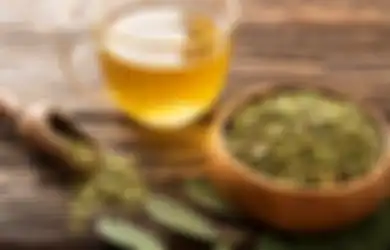 Sayang untuk Dilewatkan, Minum Teh Hijau Setiap Hari Ternyata Ampuh Cegah Kanker Payudara loh, Begini Kata Medis