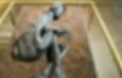 Misteri Mumi Rawa Eropa, Ditemukan di Lahan Gambut, Terpelihara dengan Baik, Tetapi Mati Akibat Kekerasan, Benarkah Karena Ritual Pengorbanan untuk Dewa Mereka pada Zamannya?