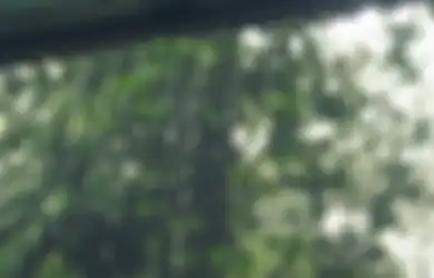 Panjatkan Doa Ini Saat Hujan Lebat yang Disertai Petir, Mampu Usir Rasa Panik yang Menghantui
