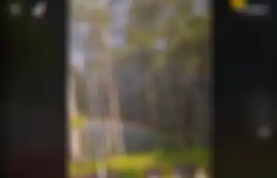 Video Orang Nyoba Megang Pelangi Ini Viral di TikTok, Gimana Sih Penjelasan Ilmiahnya?