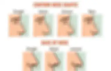 Tes Kepribadian: Siapa Sangka dari Bentuk Hidung yang Kamu Miliki, akan Terungkap Karakter dan Takdir yang Kamu Miliki
