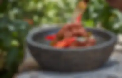 Sayang Kalau Dilewatkan, Ini 3 Kuliner Kota Medan yang Sajikan Menu Vegetarian, Cocok Jadi Kuliner Ramadan