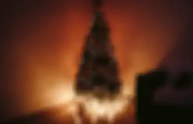 Hari Raya Natal 2022: Sejarah Pohon Natal yang Tak Banyak Diketahui, Berawal dari 'Pohon Surga' di Jerman Barat pada Abad Pertengahan