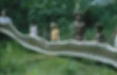Terpaksa Jadi 'Pembunuh Mahir,' Seperempat Populasi Pria dari Suku di Pedalaman Hutan Asia Tenggara Ini Diincar oleh Ular Raksasa hingga Terbiasa Bawa Parang