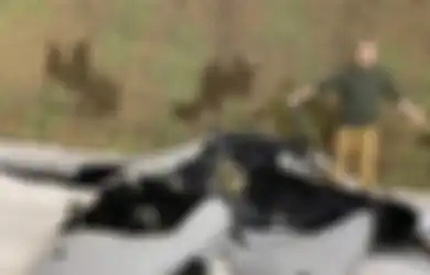 Coba-coba Serang Rusia Dengan Senjata Canggih Ini, Ukraina Malah Rugi Bandar, Padahal Cuma Baru Senggol Rusia Senjata Militernya Ini Langsung Rusak Parah Gara-Gara Hal Ini