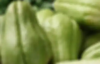 Nggak Perlu Bolak Balik ke Dokter, Rutin Sarapan Bersama Sayur ini Tiap Pagi, Siapa Sangka Khasiatnya Tak Main-main Bagi Tubuh