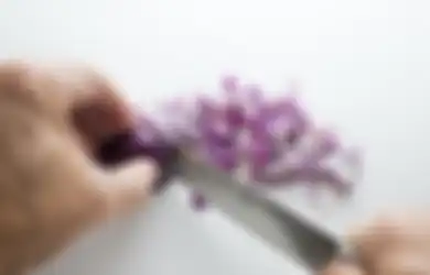 Coba Haluskan Bawang Merah dengan Blender, Hewan Menyebalkan Ini Tak Mau Lagi Masuk Rumah! 	