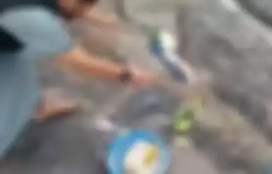 Tak Hormati Kebudayaan Lokal, Pria Tendang dan Hancurkan Sesajen di Lokasi Erupsi Gunung Semeru Ini Resahkan Warga, Kini Diburu Aparat!