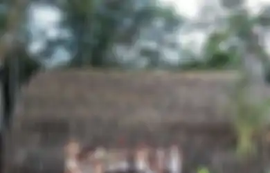 Lima Misionaris Amerika Ditombak Hingga Tewas, Inilah ‘Keganasan’ Suku Huaorani yang Anggap Anaconda dan Jaguar Binatang Suci bagi Suku yang Terkenal dan Ditakuti di Amazon, Namun Hampir Punah Ini
