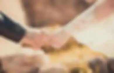 Dipaksa Nikahi Laki-laki Pilihan Orang Tua, Wanita Muda di Sulbar Tak Sudi Tubuhnya Dijamah selama 4 Tahun dan Pilih Kabur, Respon Suami Jadi Sorotan: Dia Sabar!