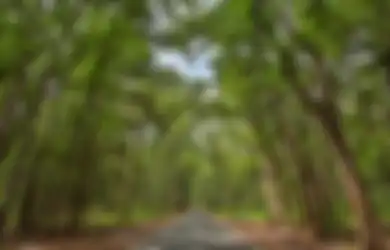 Ini Dia Khodam Terkuat yang Menguasai Alas Purwo Banyuwangi, Disegani di Dunia Gaib!
