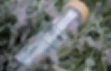 Cara Bersihkan Bagian Dalam Botol Minum Bahan Kaca Agar Tak Berbau, Sediakan Garam dan Cuka!