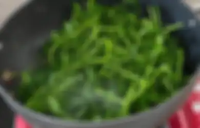 Se Indonesia Salah, Kangkung Ternyata Timbulkan Efek Berbahaya Jika Nekat Dikonsumsi Saat Tubuh Dalam Kondisi Ini, Bahayanya Tak Main-main