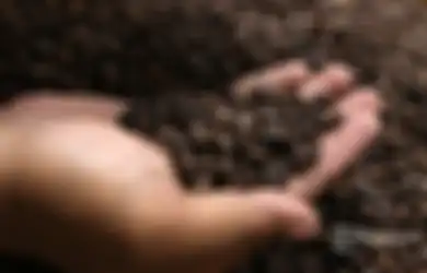 Jadi Kebiasaan Banyak Orang, Rutin Minum Kopi Justru Bawa Efek Mengerikan Bagi Tubuh