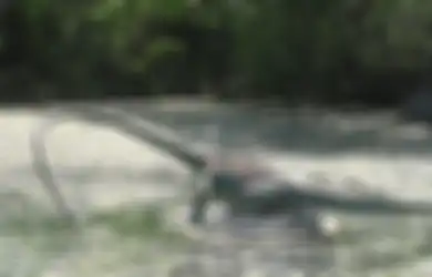 100 Tahun Jadi Misteri hingga Bikin Ilmuwan Kebingungan, Sebenarnya Makhluk Apakah Ini yang Berukuran 6 Meter dengan Panjang Lehernya Sendiri 3 Meter