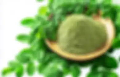 Masih Ogah Makan Daun Kelor? Padahal 7 Manfaat Ini akan Kita Dapatkan