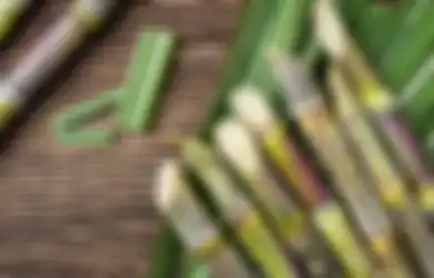Jawaban Ide Pokok Bacaan Tumbuhan Sumber Kehidupan Kelas 6 SD Tema 1