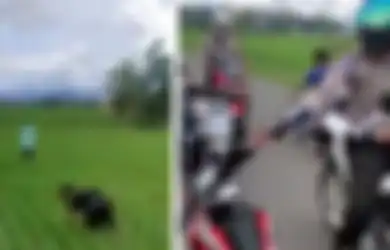 VIRAL! Jadi Petani Dadakan hingga Nyemplung ke Sawah, Aksi 2 Pemuda Kelabuhi Petugas Polantas Ini Bikin Geleng Kepala, Begini Pengakuan Keduanya