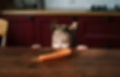 Wajib Dicoba Sekarang Juga! Ternyata Cara Lenyapkan Flek Hitam Semudah Ini, Cuma Modal Wortel yang Diolah Jadi Seperti Ini
