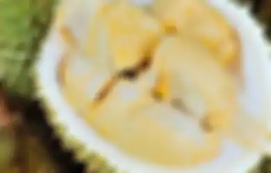 Selama Ini Dibuang Percuma, Siapa Sangka Biji Durian yang Diolah Seperti Ini Punya Khasiat Luar Biasa, Tubuh Bakal Rasakan Hal Tak Terduga!