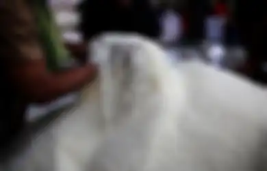 Stok Menipis, Harga Sembako Beras Diprediksi Akan Naik, Pedagang: Kementan Mabuk Masih Bilang Surplus!