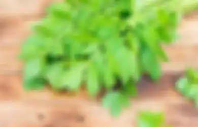 Rutin Minum Air Rebusan Daun Seledri Tiap Pagi Ketika Perut Kosong, Wanita ini Langsung Kaget dengan Perubahan Besar Tubuhnya