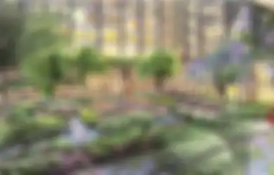 Menikmati Bandung dari Sky Garden dan Balkon Apartemen Super Eksklusif  Landmark Residence